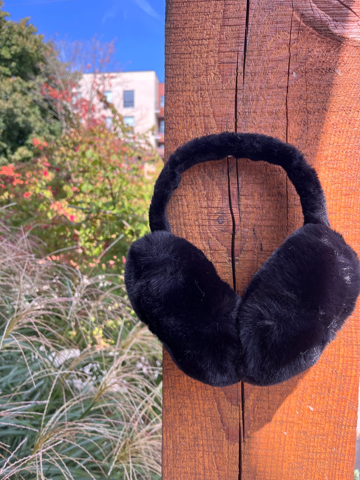 Ear Muffs