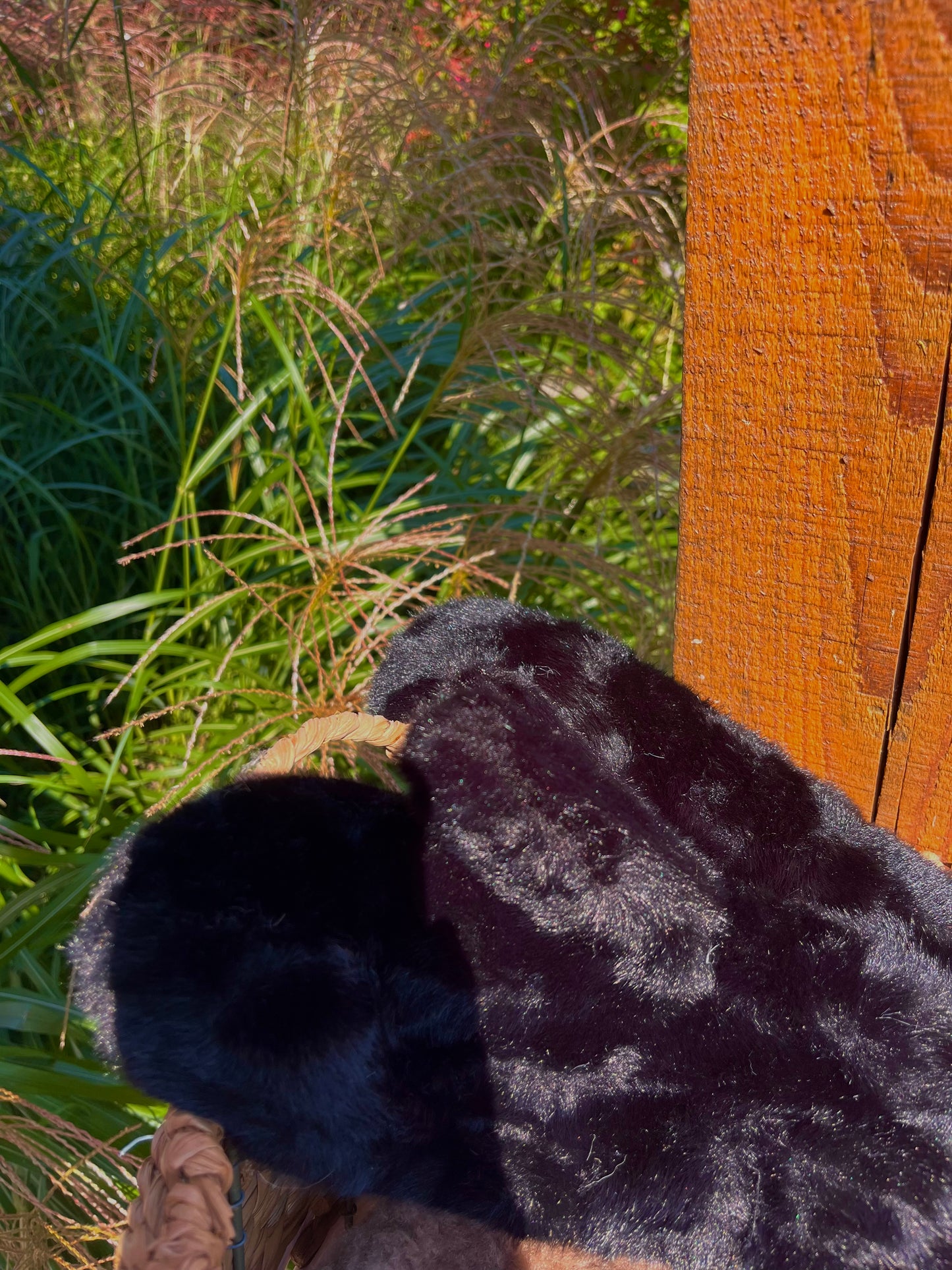 Furry Mittens
