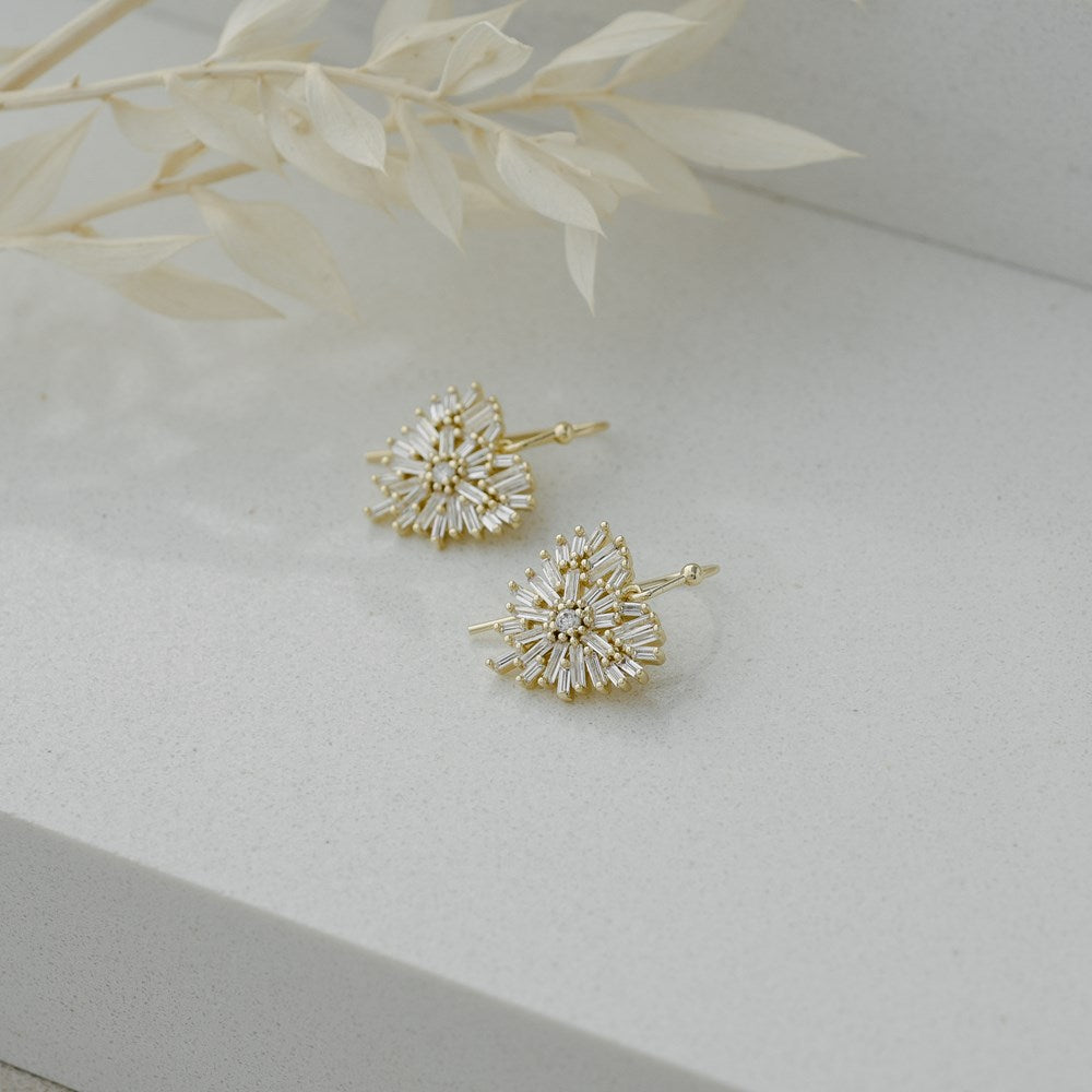 Elaborate Heart Earrings