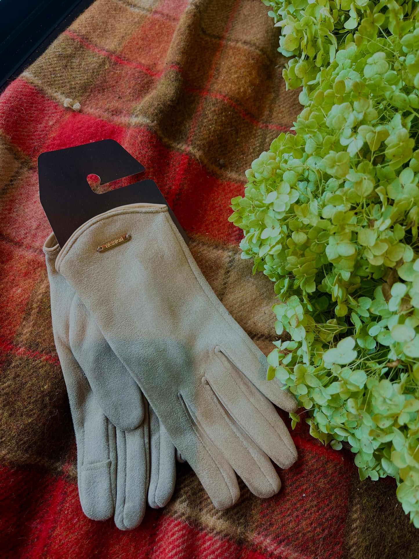 Gloves, Catherine Lillywhite's