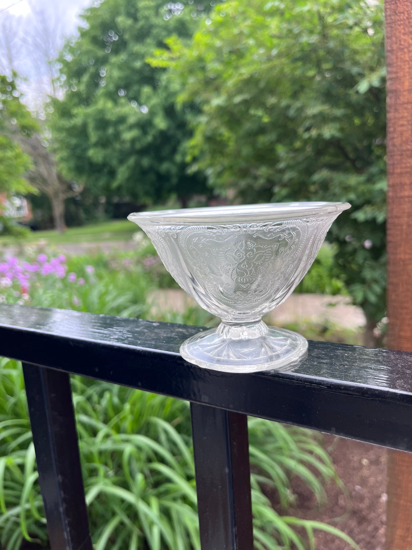 Vintage Coupe Cup