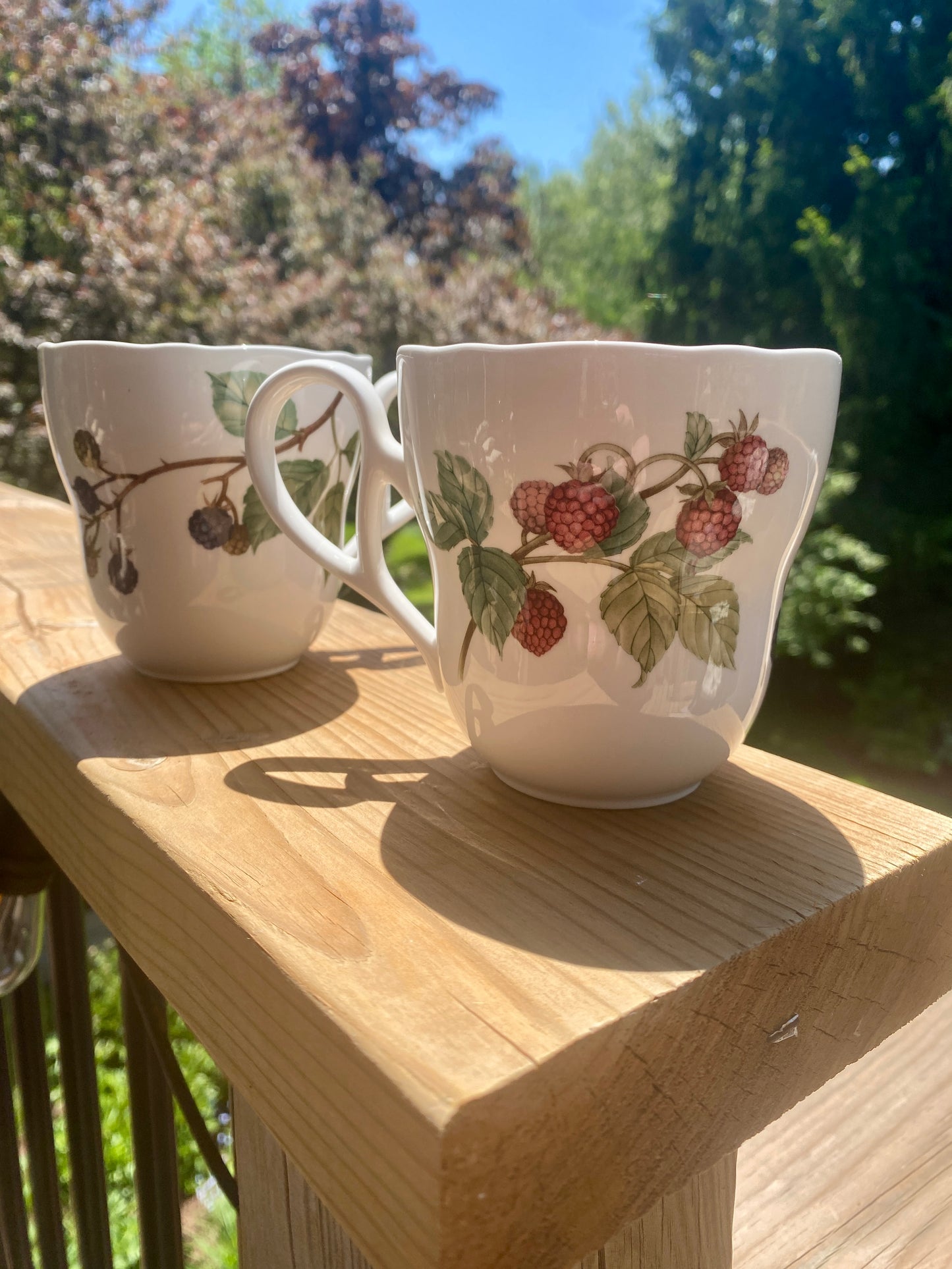 Noritake Royal Orchard Garden Bone China Mug