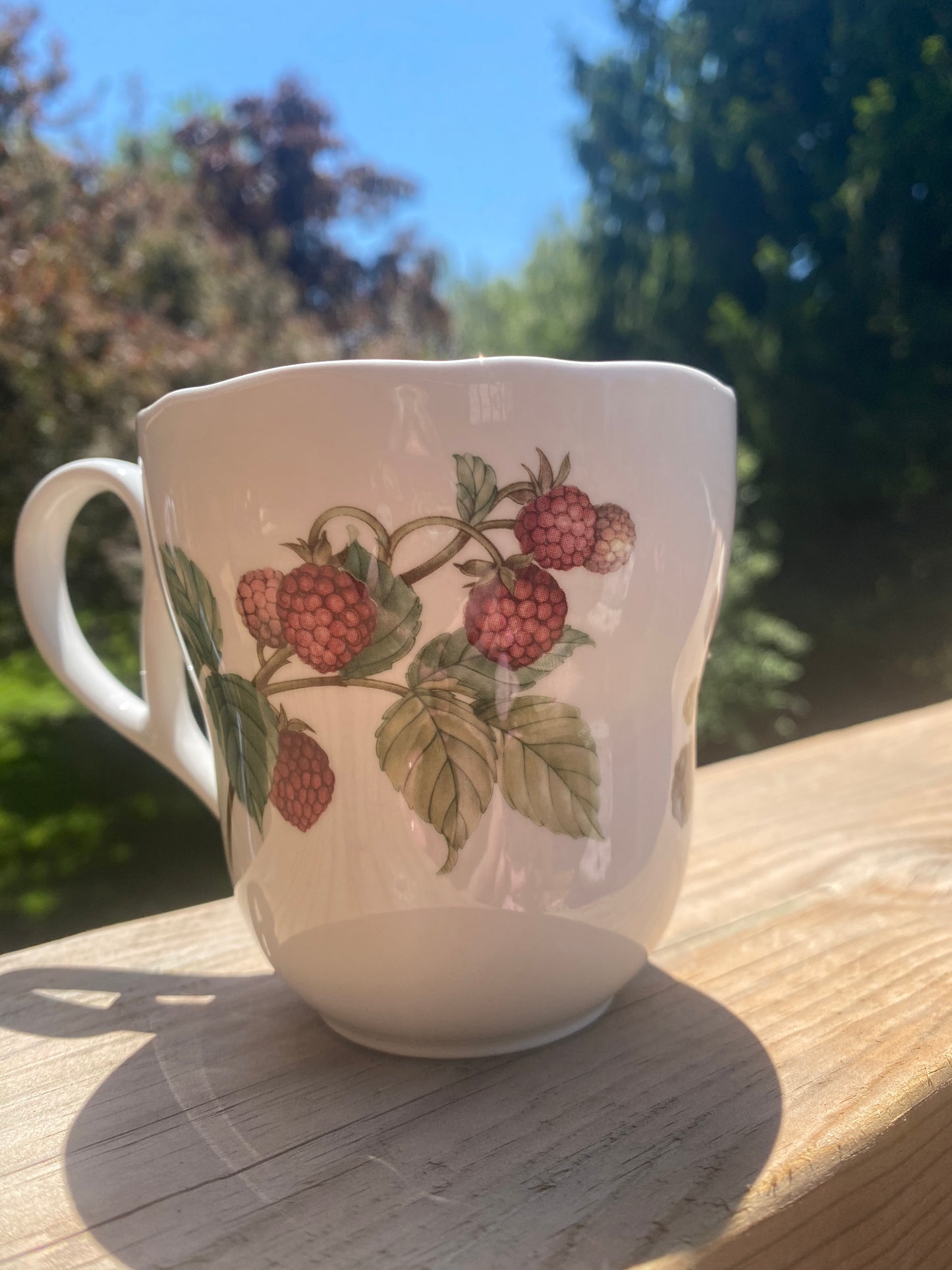 Noritake Royal Orchard Garden Bone China Mug