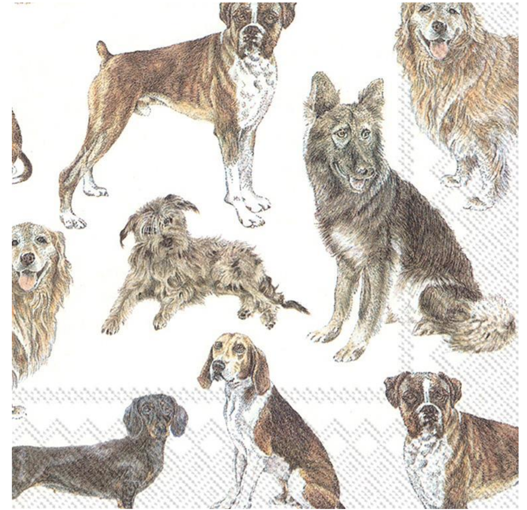 Dog Paper Luncheon Napkins