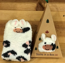 Load image into Gallery viewer, Specialty Socks (in a box for Christmas!)
