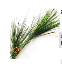 Pine Garland