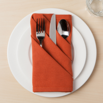 Spectrum Rust Napkins Set of 4