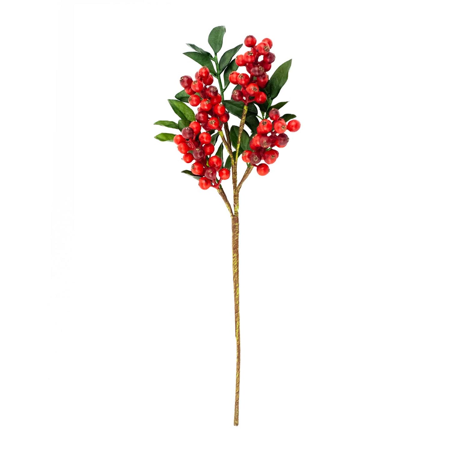 Christmas Branches & Pick