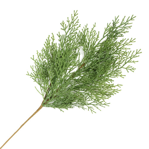 Cedar Sprays, Real Touch