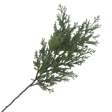 Christmas Branches & Pick