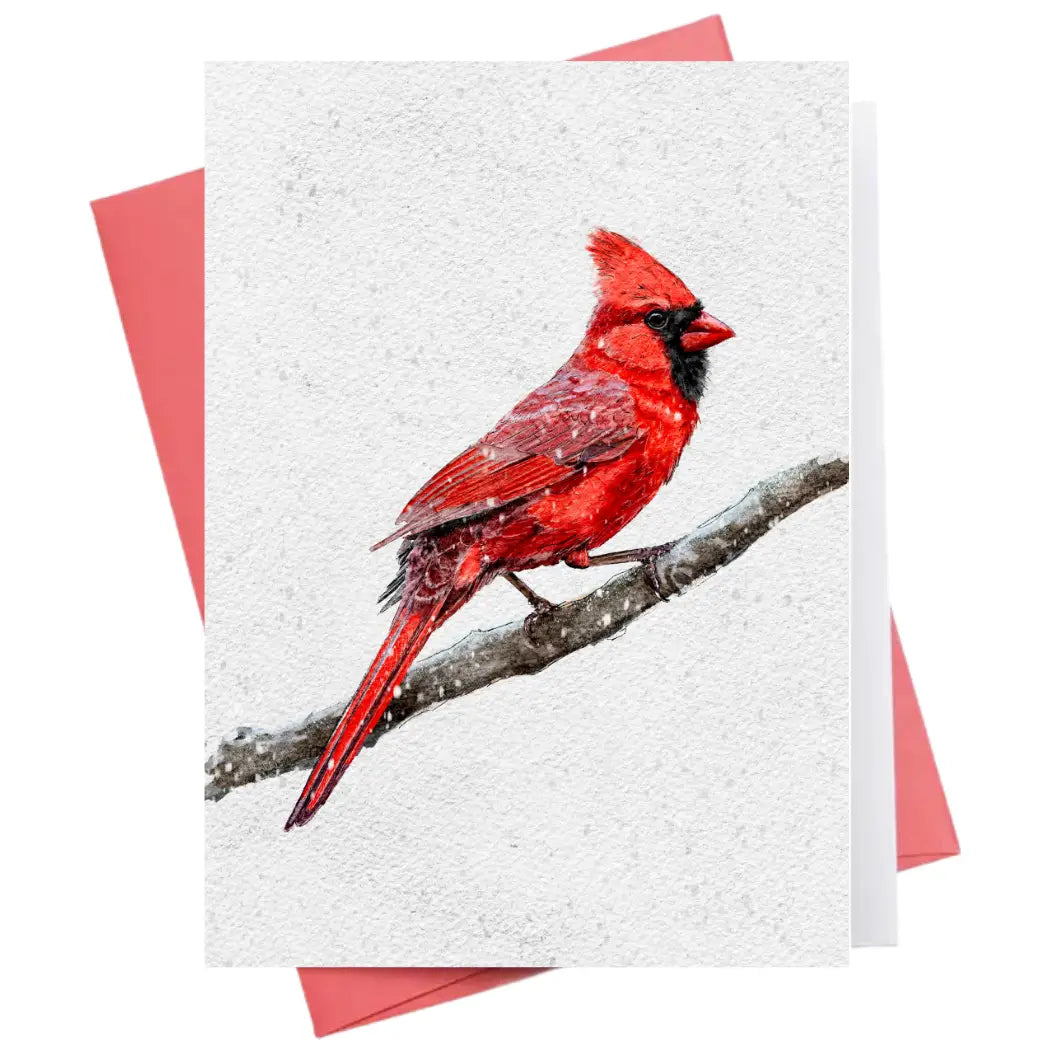 Inkwell Greeting Cards