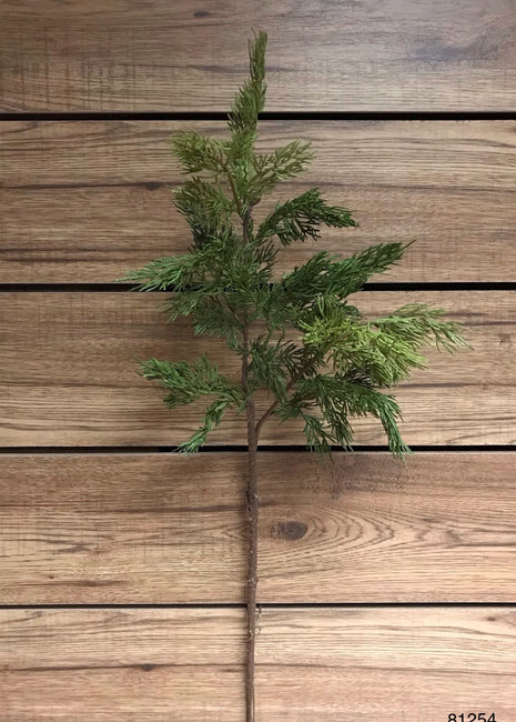 Cedar Spray Branches