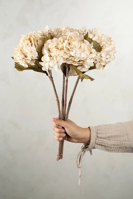 Hydrangea Stems Large White