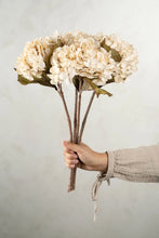 Load image into Gallery viewer, Hydrangea Stems Large White
