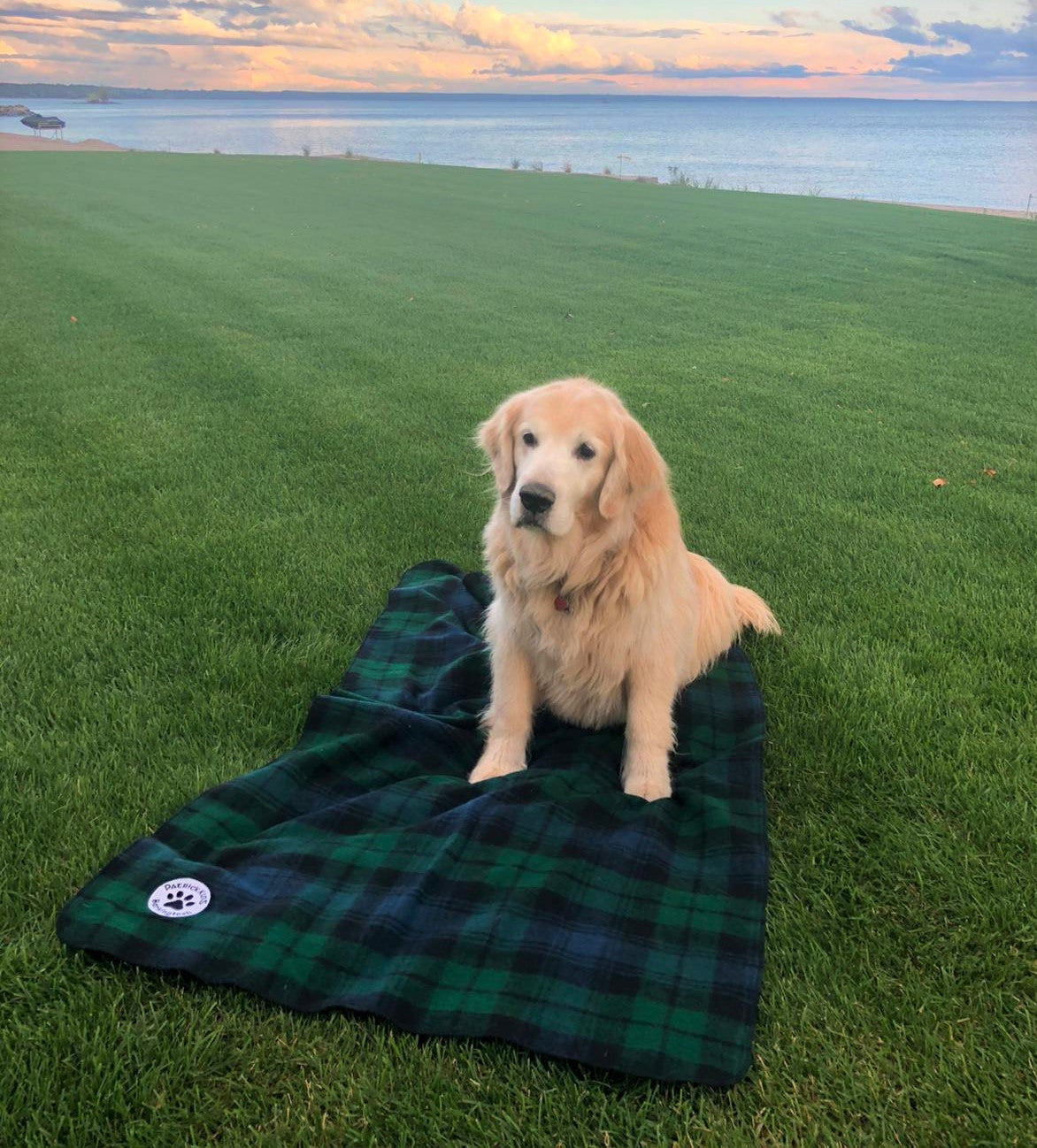 Dog Blankets - plaid