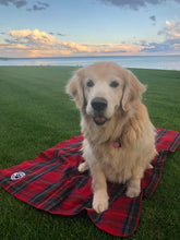 Load image into Gallery viewer, Dog Blankets - plaid
