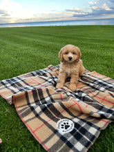 Load image into Gallery viewer, Dog Blankets - plaid
