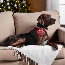 Load image into Gallery viewer, Christmas Dog Bandana And Toy Set
