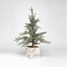 Load image into Gallery viewer, Trees in Wooden Planter Box
