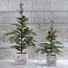 Load image into Gallery viewer, Trees in Wooden Planter Box
