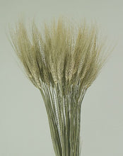 Load image into Gallery viewer, Dried Wheat Bouquets
