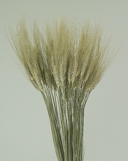 Dried Wheat Bouquets