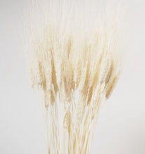 Load image into Gallery viewer, Dried Wheat Bouquets
