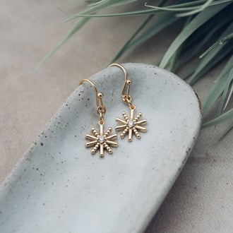 Celebration Earrings Glee