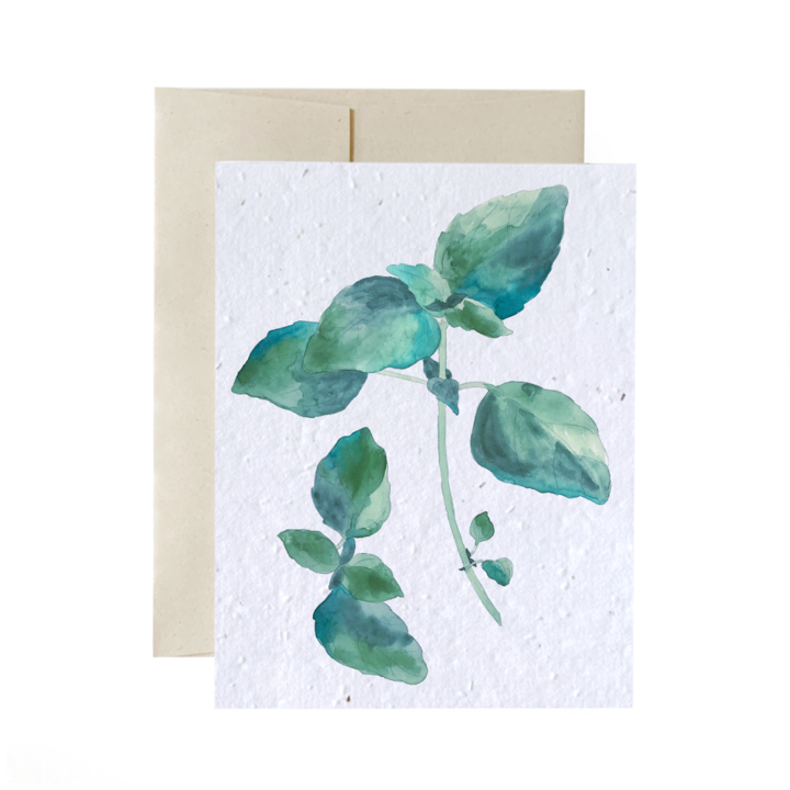 Seed Cards - Flowers and Plants