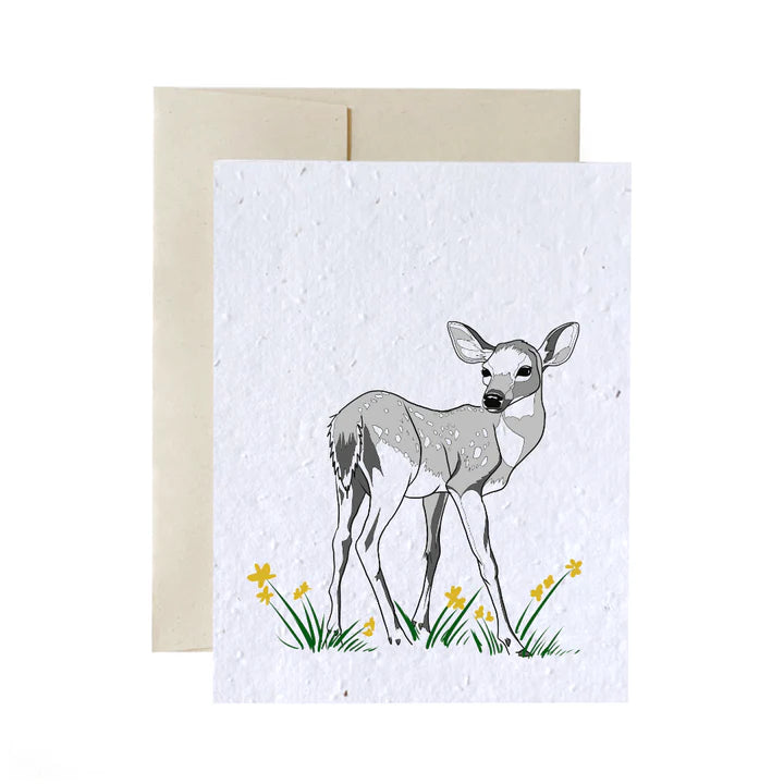 Seed Cards - Animals