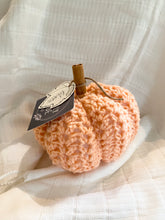 Load image into Gallery viewer, Crochet Pumpkins Medium
