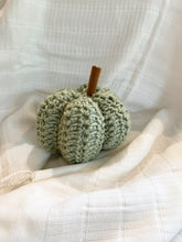 Load image into Gallery viewer, Crochet Pumpkins Medium
