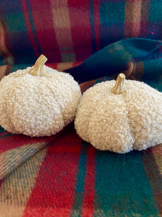 Boucle Pumpkins Beige