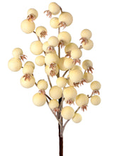 Load image into Gallery viewer, Large Berry Spray Various Colours
