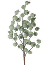 Load image into Gallery viewer, Large Berry Spray Various Colours
