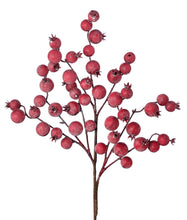 Load image into Gallery viewer, Large Berry Spray Various Colours
