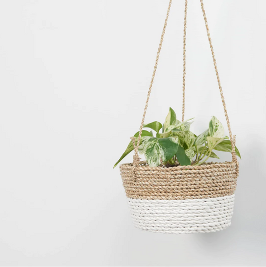 Classic Hanging Basket