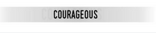Load image into Gallery viewer, Embracelets - Bracelets
