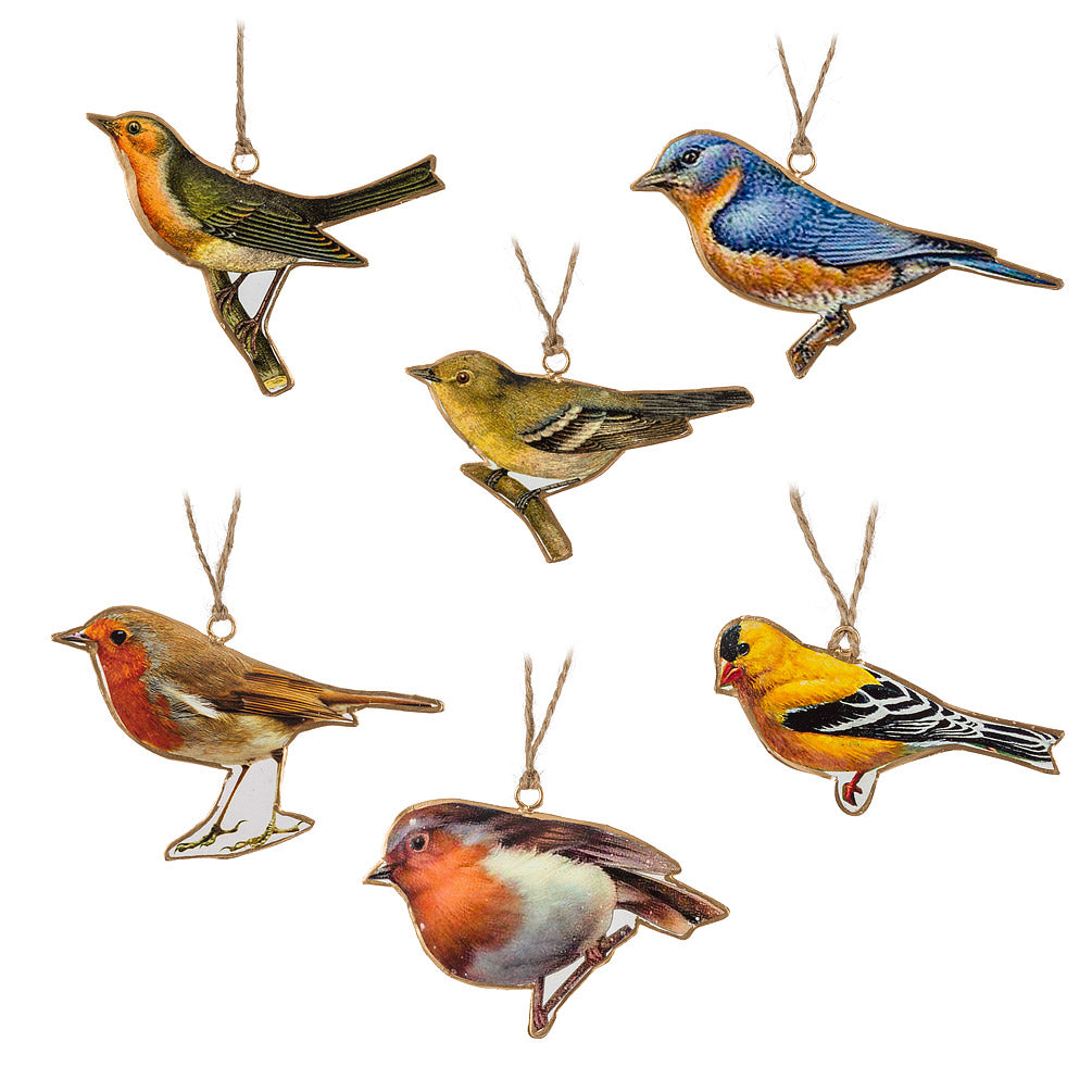 Colourful Bird Ornaments Assorted