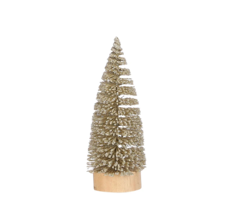 Gold Bottlebrush Tree 6"