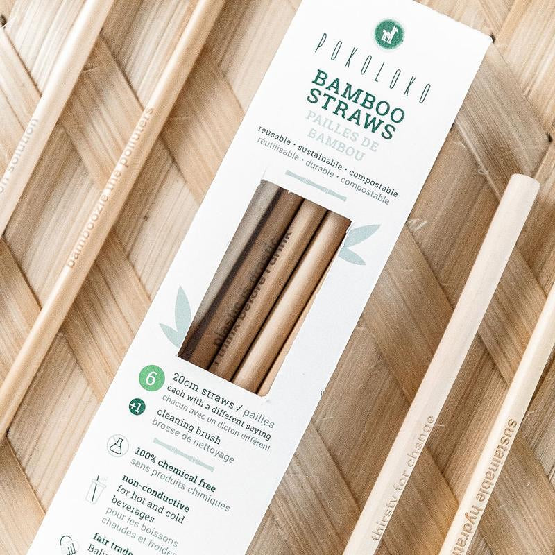 Bamboo Straws-Set of 6 With A Brush