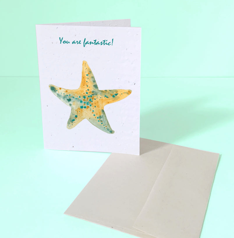 Seed Cards - Animals
