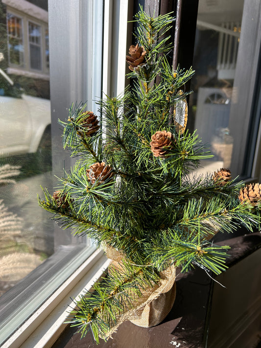 Pinecone Tree
