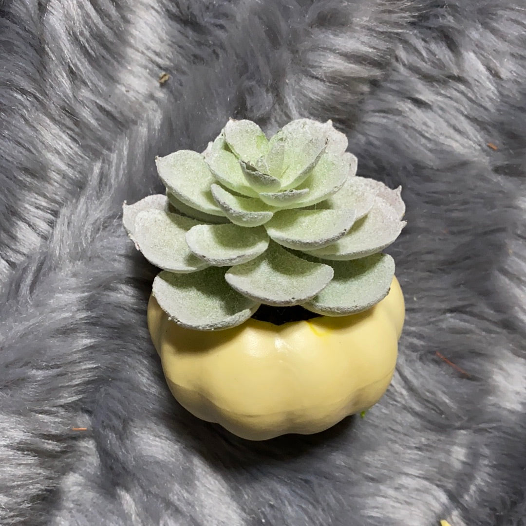 Cream pumpkin planter small