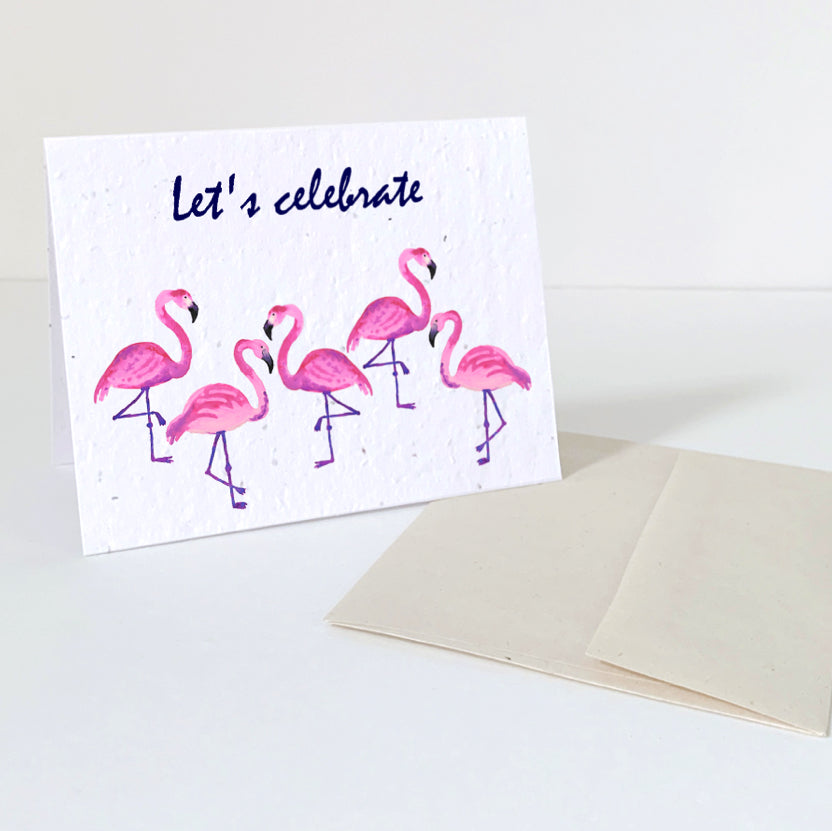 Seed Cards - Animals