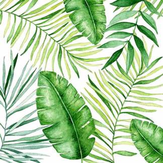 Fern paper napkins