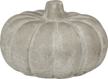Load image into Gallery viewer, Cement pumpkins
