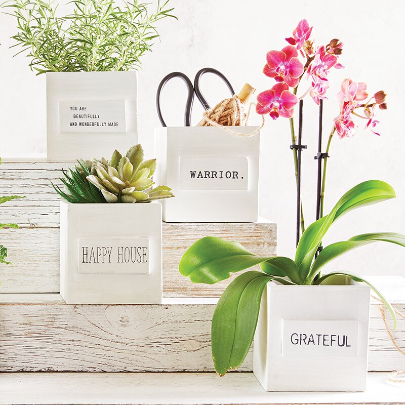 Planter/Boxes