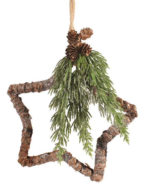 Pinecone fir stars
