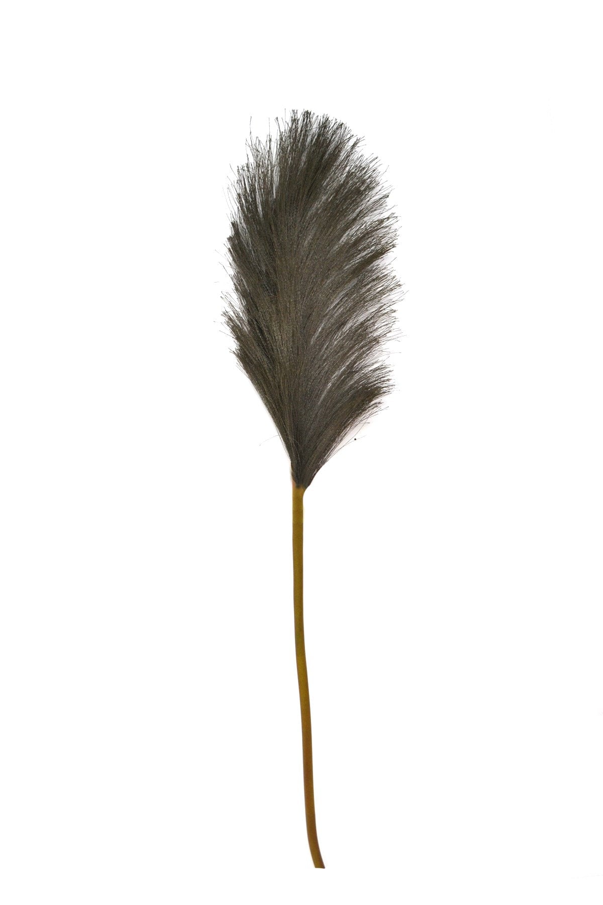 Artificial pampas